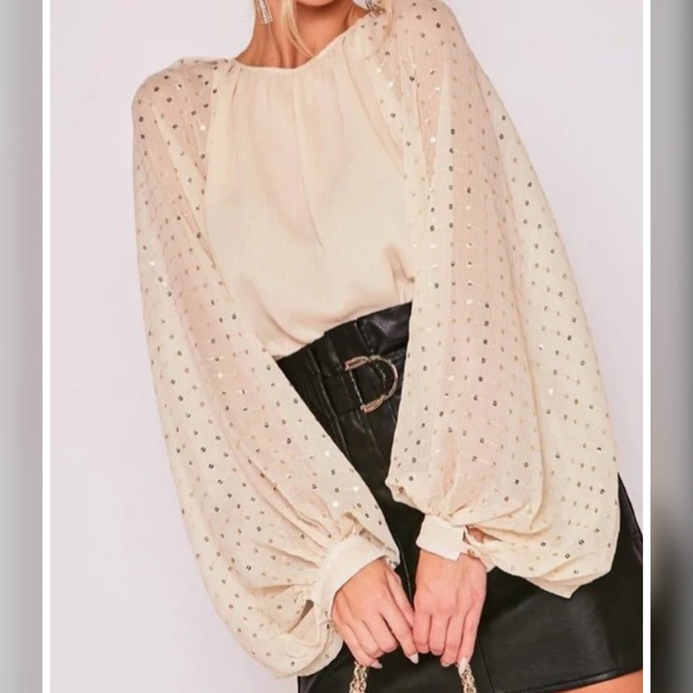 Sparkle and Shine Sequin Sleeve Top